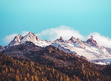 《障目 / Cling to Blindness》现已发售!