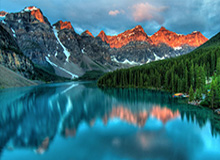 《障目 / Cling to Blindness》现已发售！