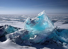 《障目 / Cling to Blindness》现已发售！